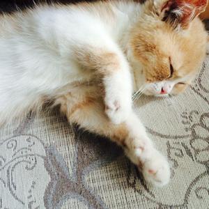 12学生自慰免费观看
